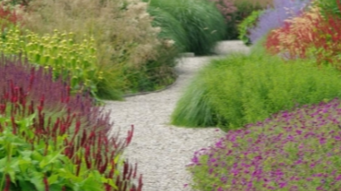 Groenstein Beplanting